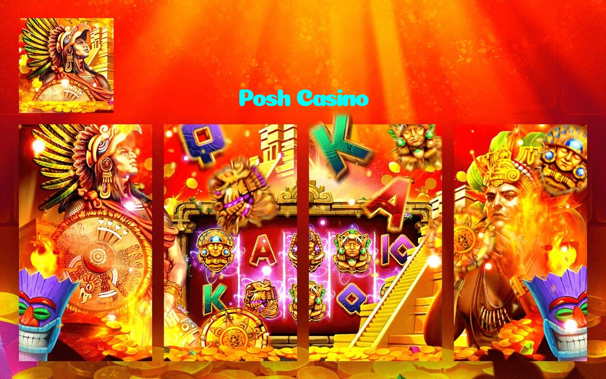 available types of Posh Casino bet including pre-match live express and system bets